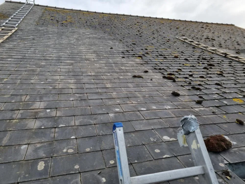 Photo de réalisation de chantier en Ille et Vilaine effectué par l'entreprise Fillaut