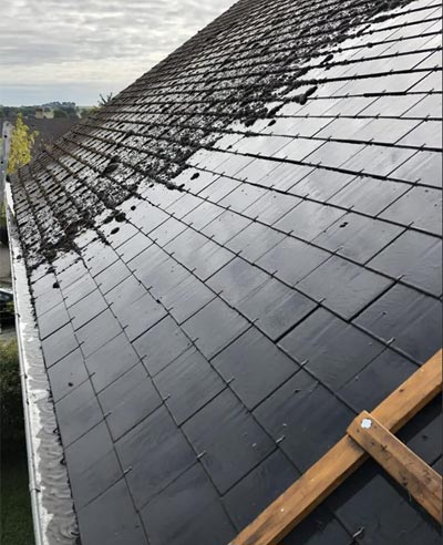 Démoussage de toiture en Ille et Vilaine